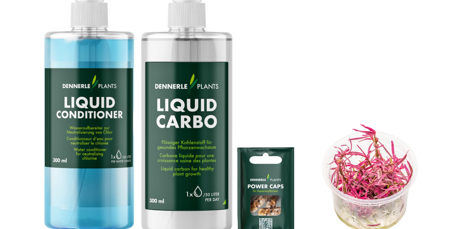 Neue Produkte wie Liquid Carbon und Liquid Conditioner erweitern das Pflegeprogramm für Pflanzen.