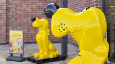 Das Futterhaus Österreich eröffnet den 50. Standort