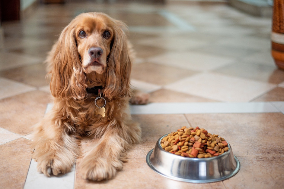 Fachhandelsprodukte nur Befriedige... - pet-online