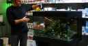 Workshop-Reihe für Aquarianer