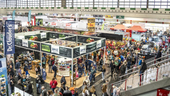 Zwischen Fellnasen und Markenwelten Zwischen Fellnasen und Markenwelten