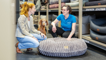 Service Value kürt beste Händler