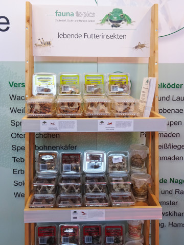 Lebende Futterinsekten für  Terrarientiere stellen die Kernkompetenz von Fauna Topics dar.