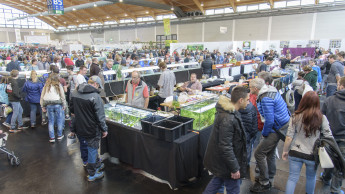 Aqua-Fisch und Aqua-Expo-Tage wurden abgesagt