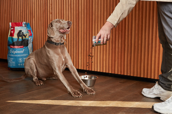 Die Premium-Marke des kanadischen Herstellers Champion Petfoods orientiert sich am Ganze-Beute-Prinzip – so, wie Tiere in freier Wildbahn fressen würden.