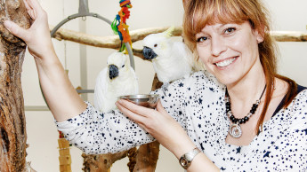 Zoo Zajac erweitert Geschäftsführung