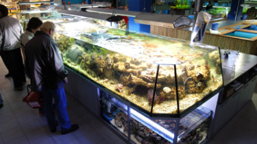 Neueröffnungen bei Fressnapf