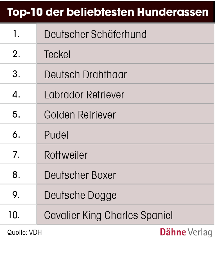 Des Menschen bester Freund