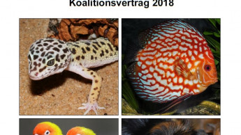 BNA richtet Forderungen an die Politik