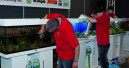 Finale der Zookauf-Aquarien-Einrichtungsmeisterschaft