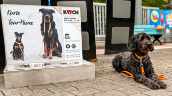 Dog Day in der Bavaria Filmstadt