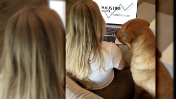 Startschuss für die Haustier-Studie 2026/2027 Startschuss für die Haustier-Studie 2026/2027