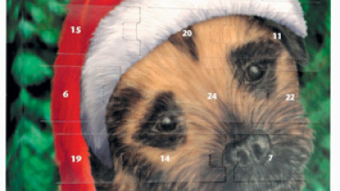 Holly-Linie: Branche schwankt zwischen Wut und Faszination