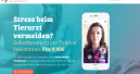 Online-Tierarzt will Veterinärmedizin umwälzen