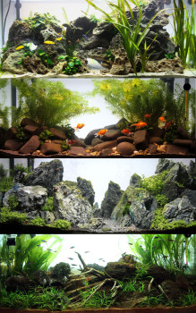 JBL hat ein Konzept entwickelt, um potentiellen Aquarienbesitzern die Ängste zu nehmen und mit Vorurteilen aufzuräumen.