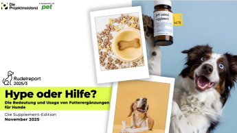 Rudelreport: Zwischen Snack und Therapie