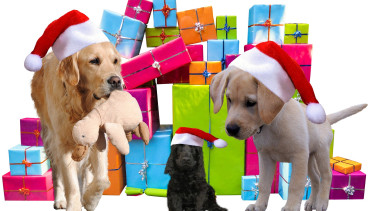 Pets Nature spendet an Tierschutzorganisationen