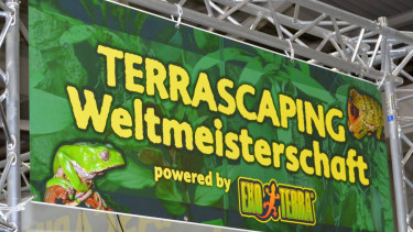 „Madagaskar – Der heilige Gral der Evolution“