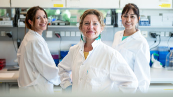 Biocraft mischt Futtermittelindustrie auf