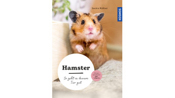 Hamster – So geht es dem Tier gut