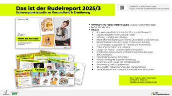 Der neue Rudelreport liefert Insights zu Hundegesundheit und -ernährung