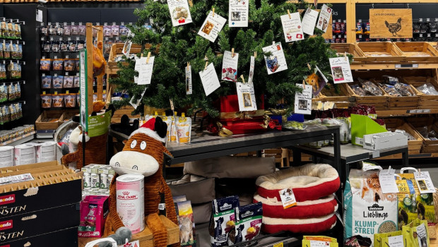 Traditionelle Spendenaktion: An den Weihnachtswunschbäumen in den Dehner-Märkten können Kunden Wunschzettel für Tiere in den lokalen Tierheimen finden und so Wünsche erfüllen.