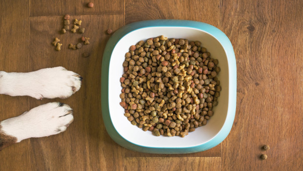 Dogorama will mit einer groß angelegten Verbraucherumfrage das komplexe Entscheidungsverhalten rund um Hundefutter besser verstehen und daraus praxisnahe Erkenntnisse für Hersteller, Händler und weitere Experten ableiten.