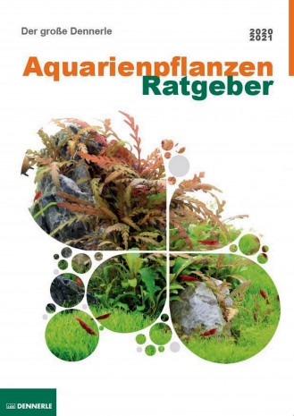 Dennerle Aquarienpflanzen,  Pflanzenlexikon