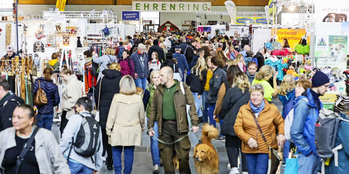 Langsam zurück zur Normalität