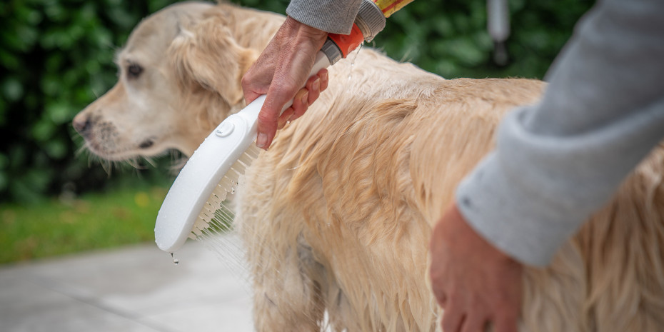 Wahl und Hansgrohe machen gemeinsam die Fellpflege noch angenehmer. 