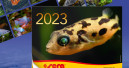 Der Sera-Kalender 2023 ist da