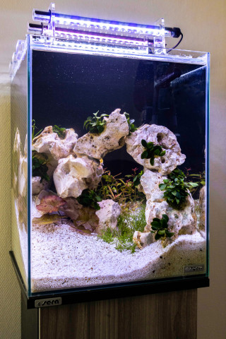  Sera, Aquascaping-Wettbewerb, Dominic Lommers (NL), Hardscape „Africa“.
