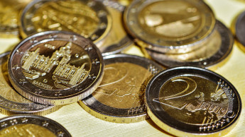 Heimtier und Garten 2025 weiter rückläufig