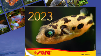 Der Sera-Kalender 2023 ist da