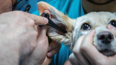 Ernüchterndes Ergebnis