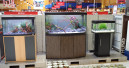 Aquascaping im Tiergarten
