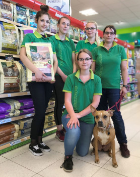 Das Filialteam in Enns freut sich über die Eröffnung (von links): Andrea Copanden, Gabriela Pierzchala, Nina Stallinger, Sarah Fürlinger (knieend) und Filialleiterin Simona Wagner. Das Filialteam in Enns freut sich über die Eröffnung (von links): Andrea Copanden, Gabriela Pierzchala, Nina Stallinger, Sarah Fürlinger (knieend) und Filialleiterin Simona Wagner.