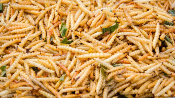 Insolvenz von Ynsect beschlossen Insolvenz von Ynsect beschlossen