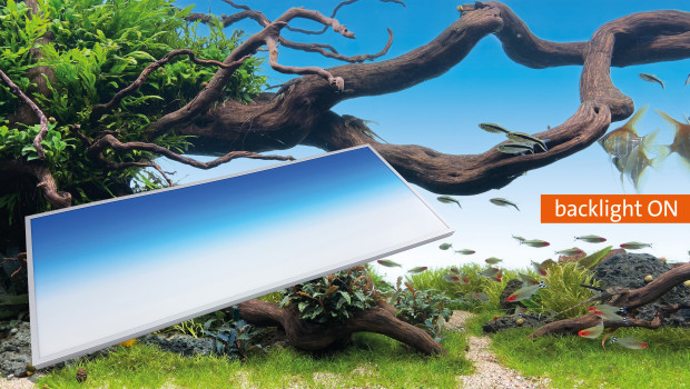 daytime LED backlights, Waltron daytime LED backlights, Waltron