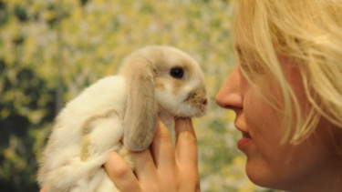 Erschütternde Ergebnisse