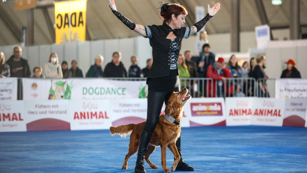 Beim Dog-Dance-Turnier auf der Animal treten 140 nationale und internationale Teams gegeneinander an.  Beim Dog-Dance-Turnier auf der Animal treten 140 nationale und internationale Teams gegeneinander an.