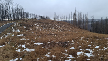 Vitakraft engagiert sich für den Umweltschutz