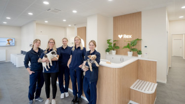 Das Start-up expandiert nach Stuttgart