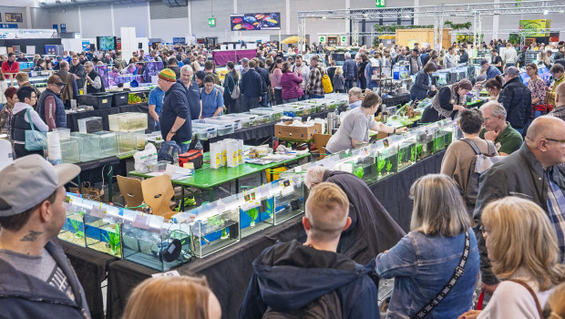 Der Messe-Samstag tat sich laut Veranstalter als besonders besucherreich hervor.