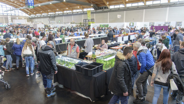 Aquaristikfans, hier auf der Aqua-Fisch 2019, müssen weiterhin auf eine ihrer beliebten Messen warten.