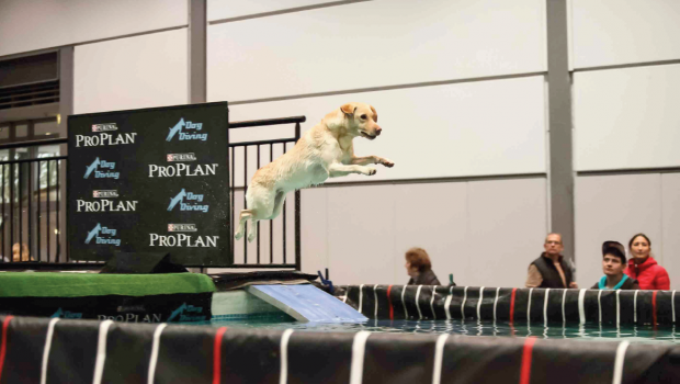 Nestlé Purina Petcare Nestlé Purina Petcare