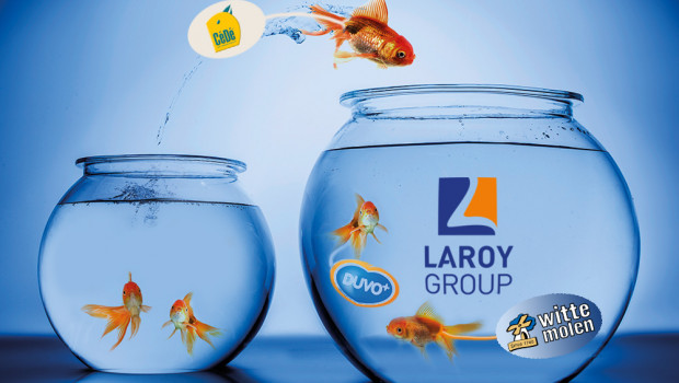 Die neue Laroy Group wird rund 160 Mitarbeiter an drei Standorten in Belgien und den Niederlanden beschäftigen.