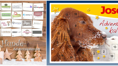 Adventskalender für Heimtiere