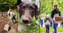 Zooplus unterstützt Tierschutzverein Rosenheim Zooplus unterstützt Tierschutzverein Rosenheim