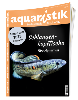 Ergänzendes Bildmaterial